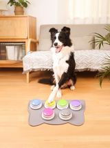 Border collie pressing WordyPaws talking buttons on a paw shaped mat at home